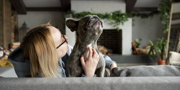 Aire acondicionado y mascotas: cómo climatizar tu casa sin perjudicar su salud